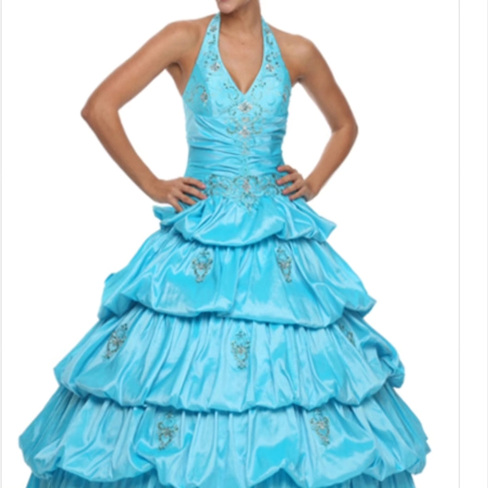 Quinceanera / Ballroom Dress